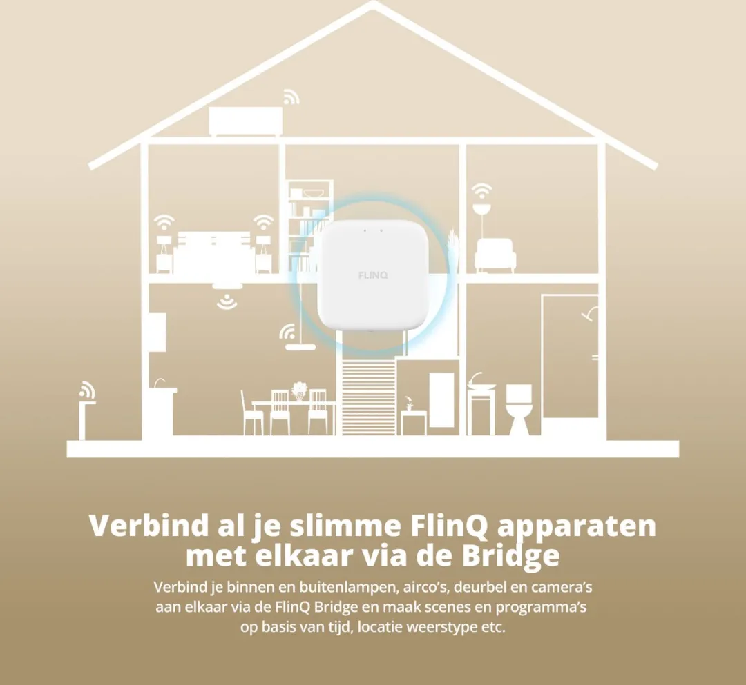 FlinQ Slimme Bridge - Google Assistant & Alexa - Wit