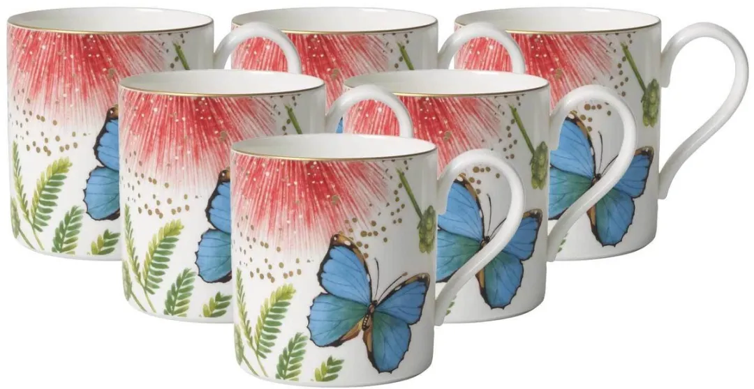 Villeroy & Boch Amazonia Koffietassen 210ml