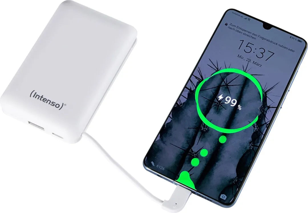 Intenso Powerbank XC10000 10000mAh - 2x USB - Wit