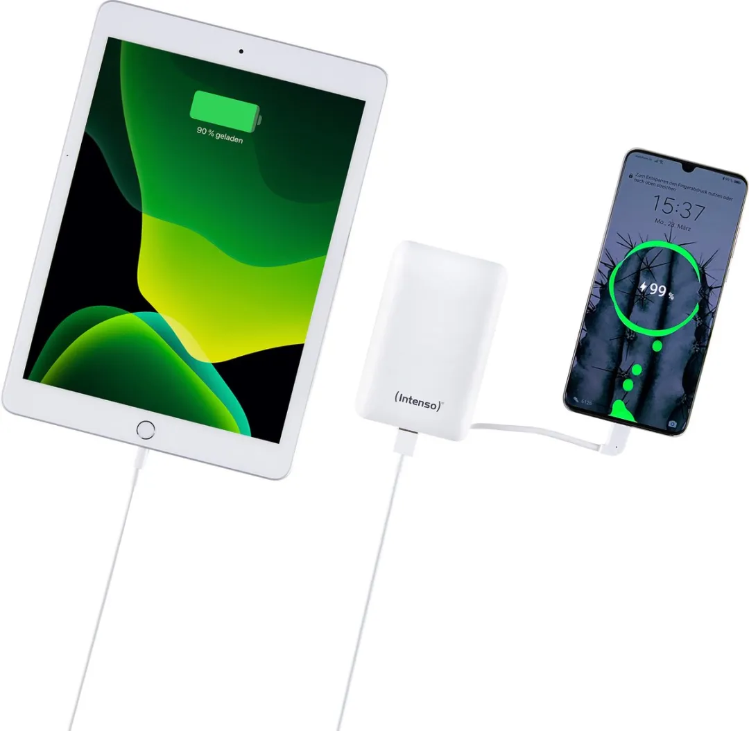 Intenso Powerbank XC10000 10000mAh - 2x USB - Wit