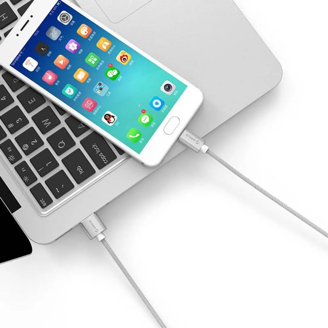 ORICO HTF-10-SV USB-C Laad- en Datakabel 2.4A - Grijs