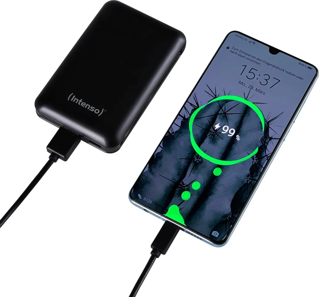Intenso Powerbank XC10000 10.000mAh - 2x USB - Zwart