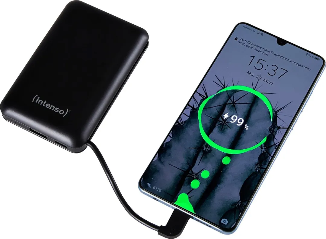 Intenso Powerbank XC10000 10.000mAh - 2x USB - Zwart
