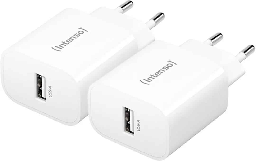 Intenso W5A USB-C-adapter 5W