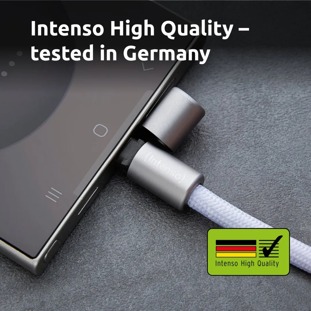 Intenso USB-C naar USB-C Opladerkabel 60W 1,65m - Paars