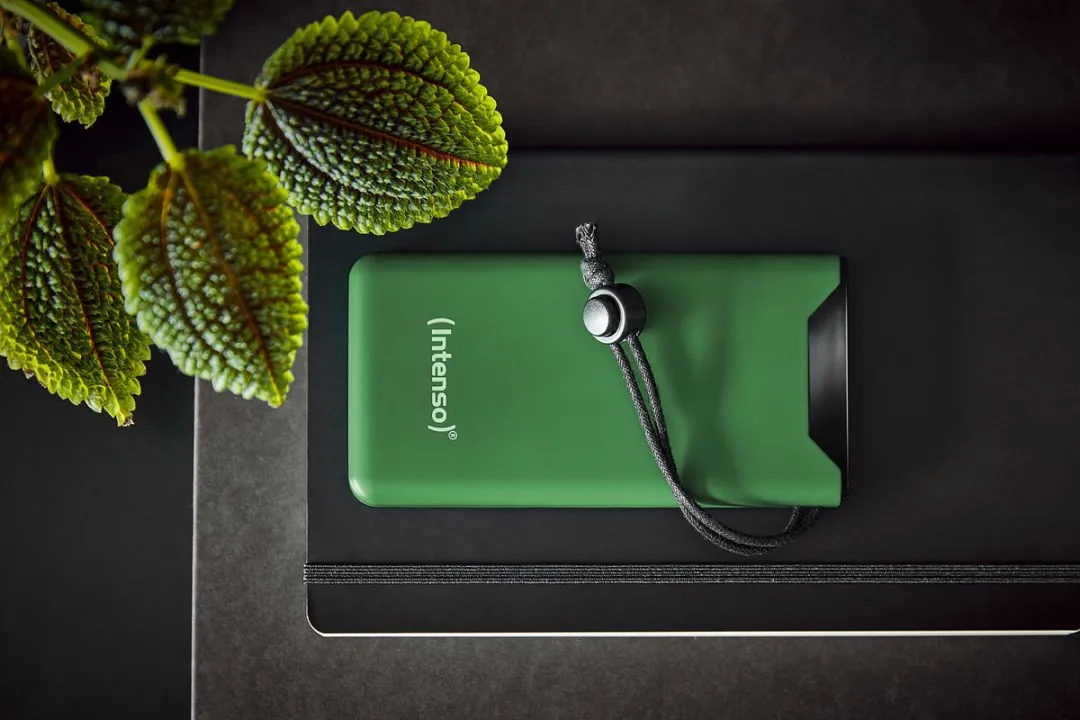 Intenso F10000 Powerbank 10.000mAh - 20W - Groen