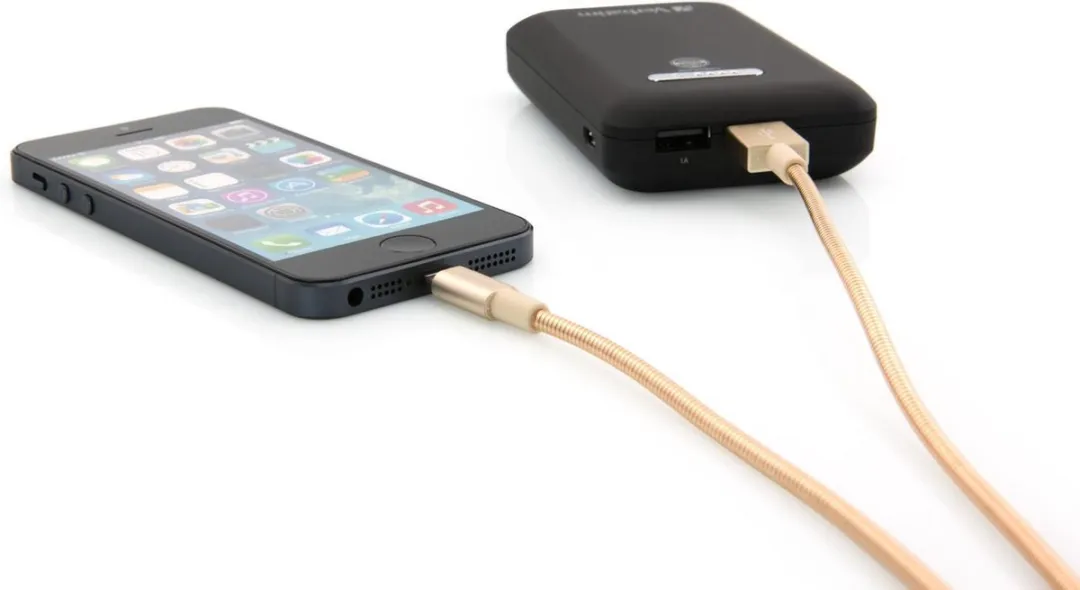Verbatim Lightning Kabel 100cm - Goud
