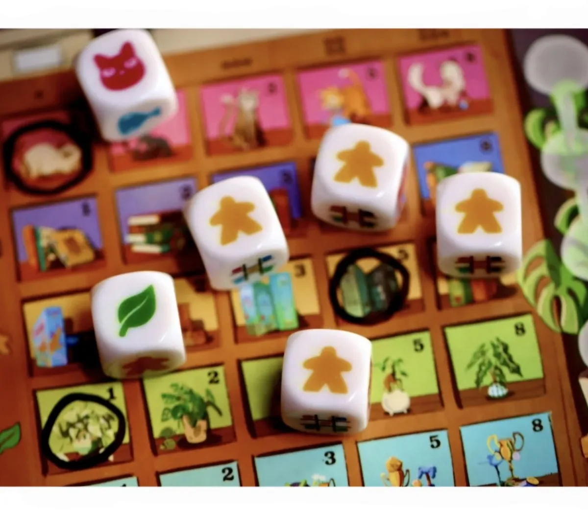 999 Games My Shelfie Dobbelspel - 4 Tableaus - Multi