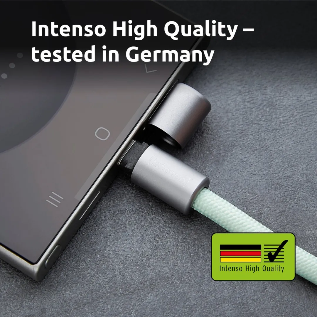 Intenso USB-C naar USB-C Oplaadkabel 60W 1,65m - Groen