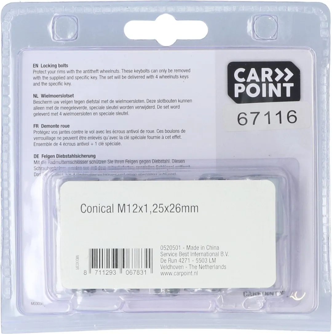 Carpoint Anti-diefstalschroeven 0520501 - Zilver