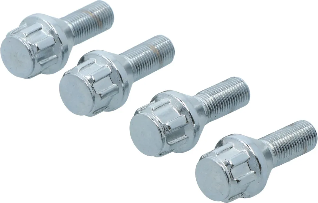 Carpoint Anti-diefstalschroeven 0520501 - Zilver