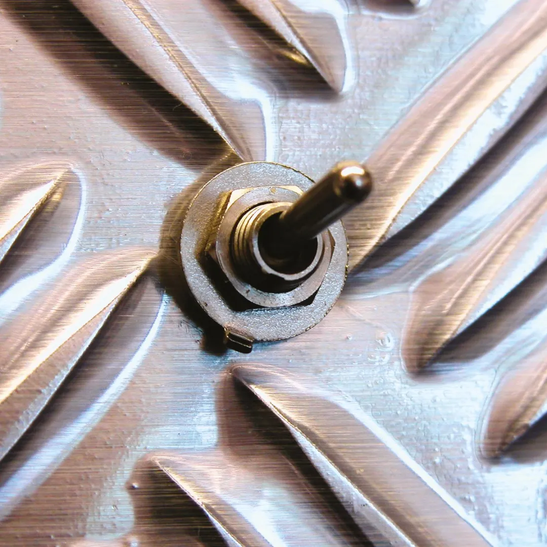 Carpoint Microschakelaar 12V - Zilver