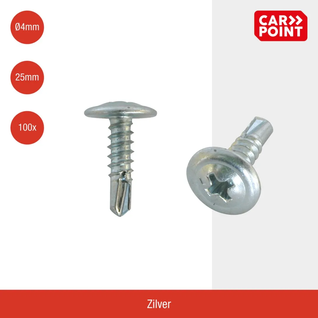 Carpoint Schroeven Ø4mm 25mm - 100 Stuks - Zilver