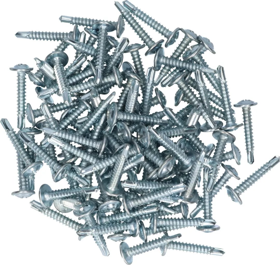 Carpoint Schroeven Ø4mm 25mm - 100 Stuks - Zilver