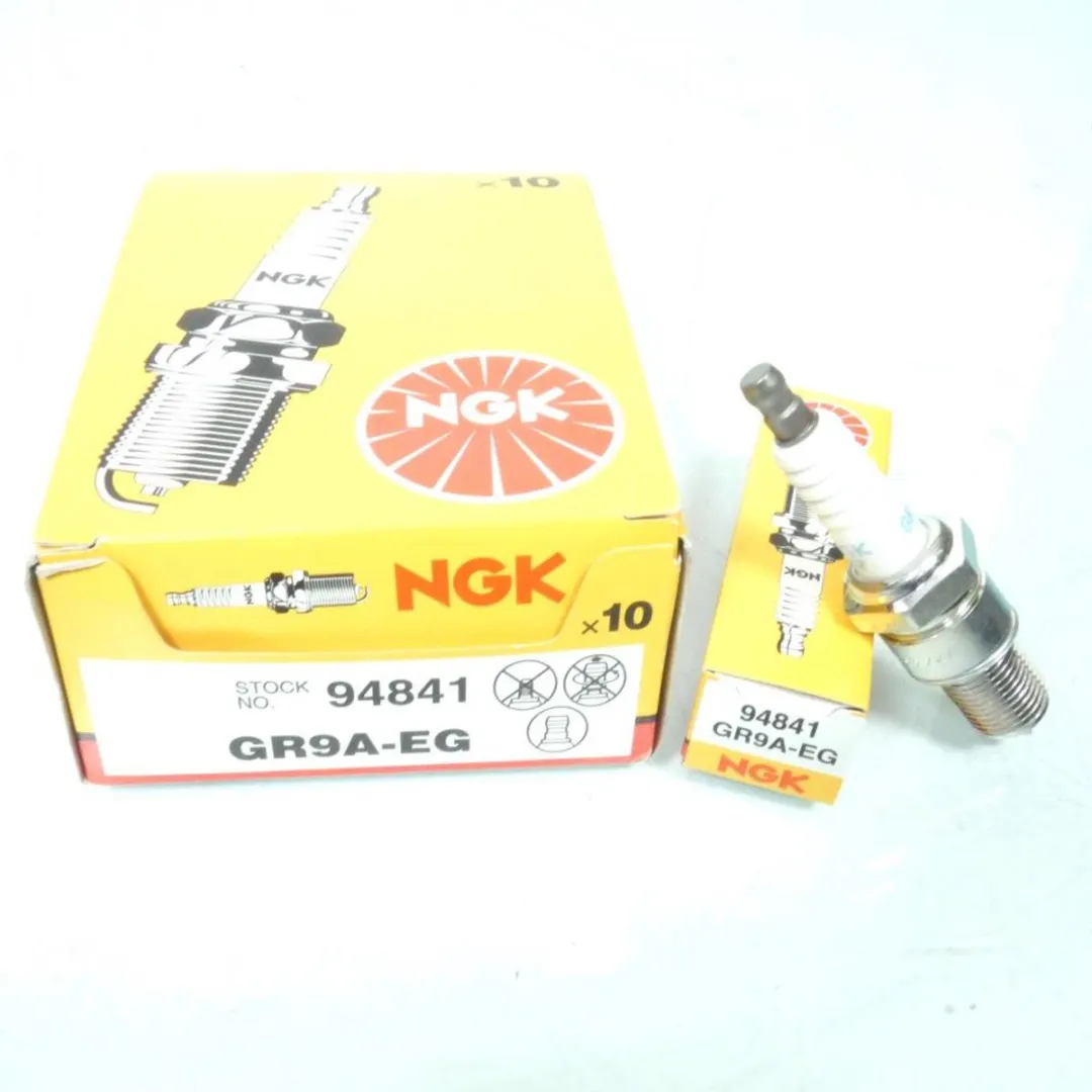 NGK Bougie GR9A-EG - Wit