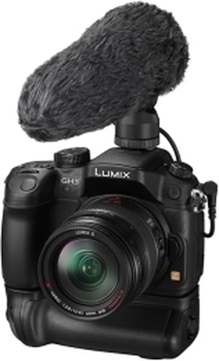 Panasonic DMW-MS2E Microfoon - Zwart