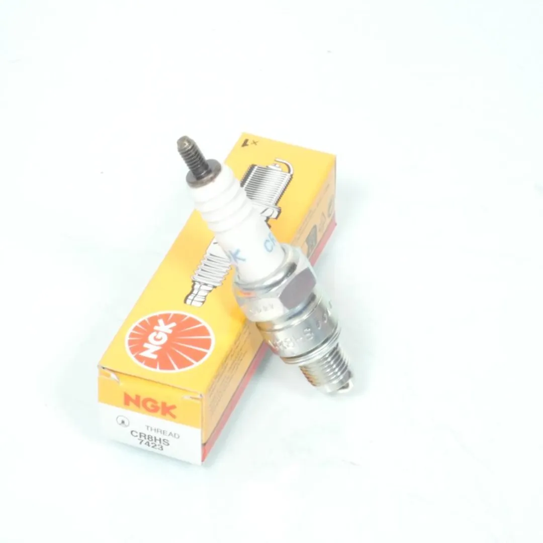 NGK Bougie DPR8EA-9 voor Quad Derbi 250 DXR 2005-2010