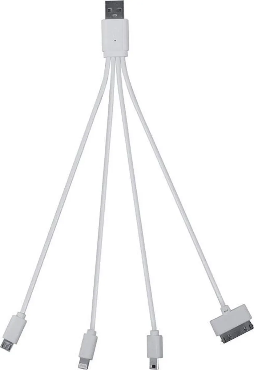 Carpoint Multi-Laadkabel USB 1-to-4