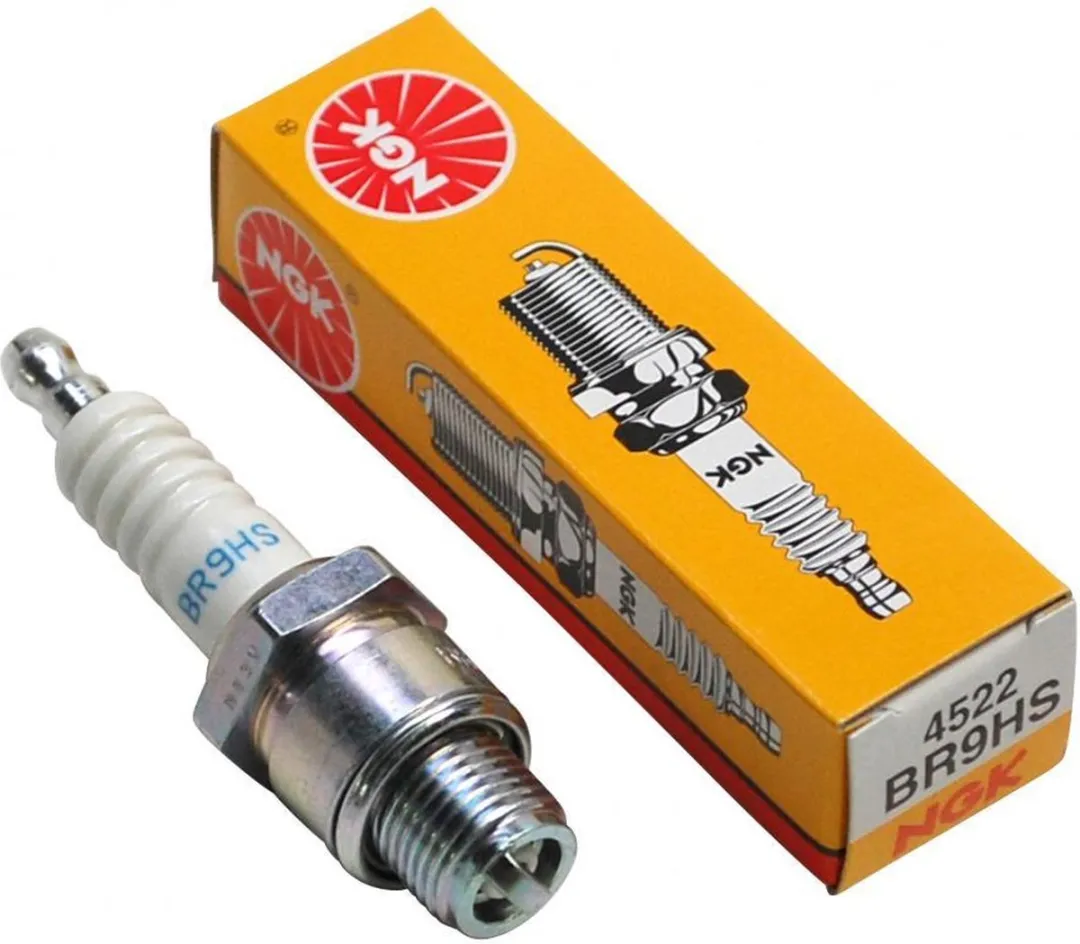 NGK BR9HS Bougie - Zilver