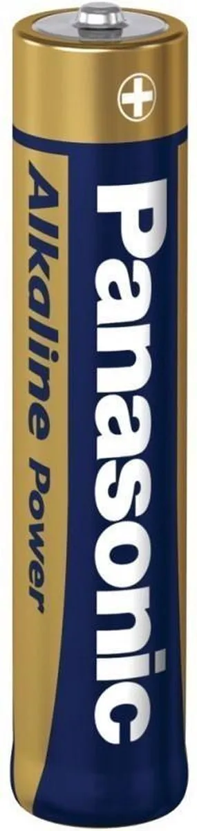 Panasonic Alkaline AA Batterijen - 10 Stuks