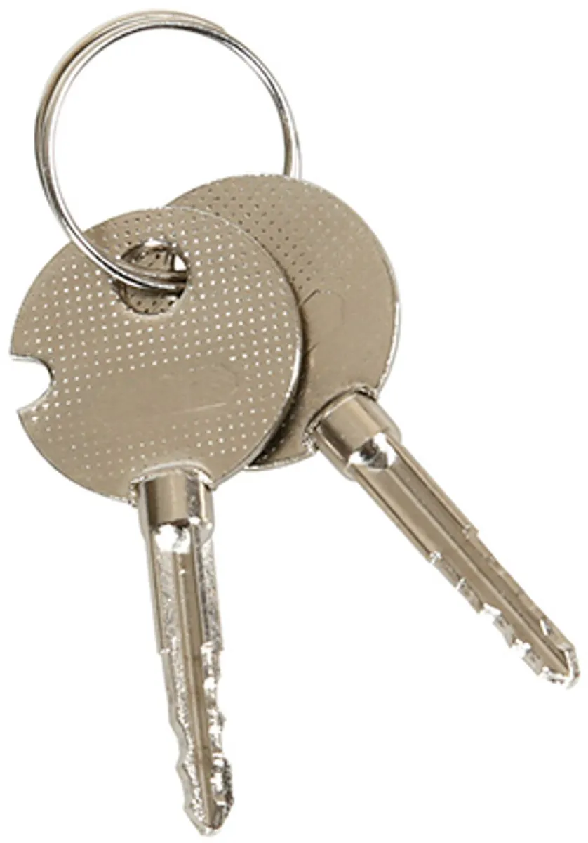 Lampa Automatisch Parkeerhek - Geel/Zwart - 6V - afbeelding 2 van 6