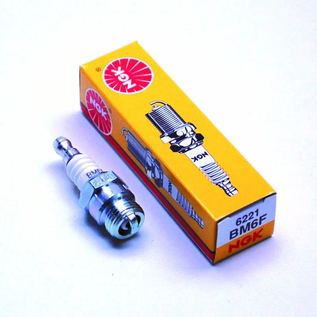 NGK BM6F Bougie - 1 Stuk