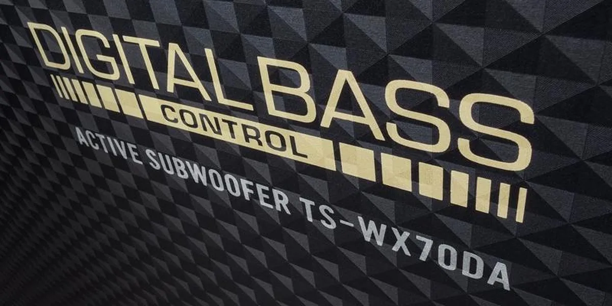 Pioneer TS-WX70DA Actieve Subwoofer 200W - Zwart