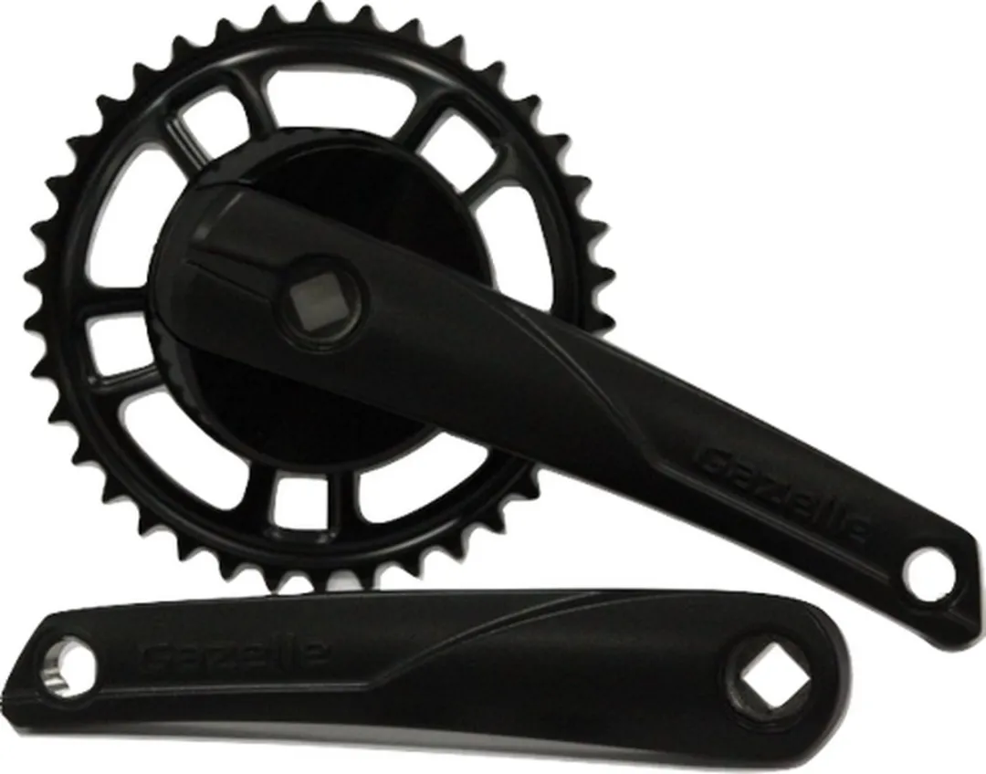Gazelle Crankstel Strixvaria 38T - 170mm - Zwart - afbeelding 4 van 4