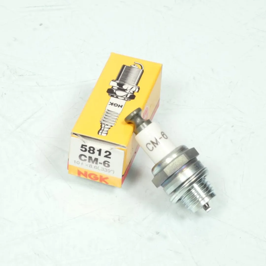 NGK CM-6 Bougie - Zilver