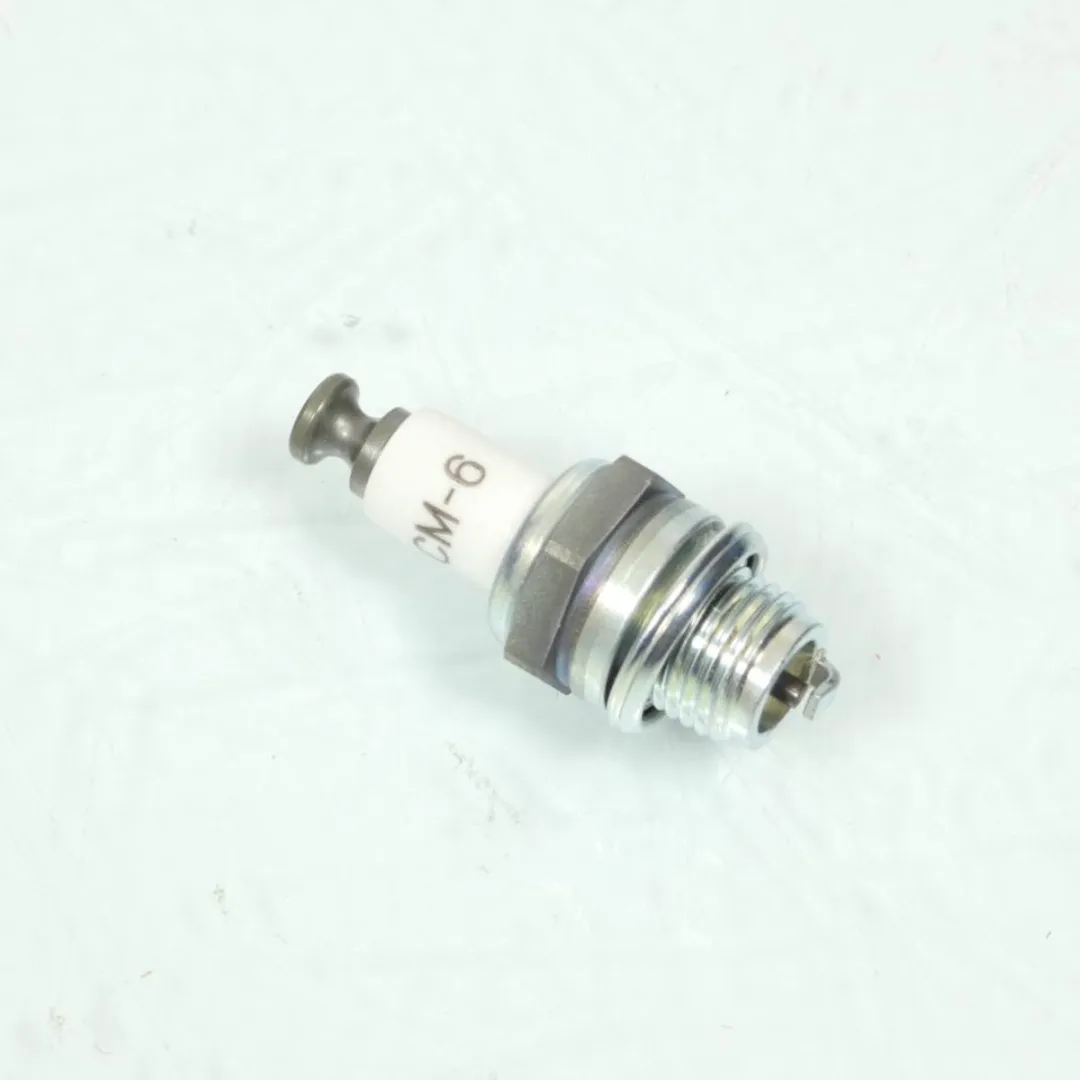 NGK CM-6 Bougie - Zilver