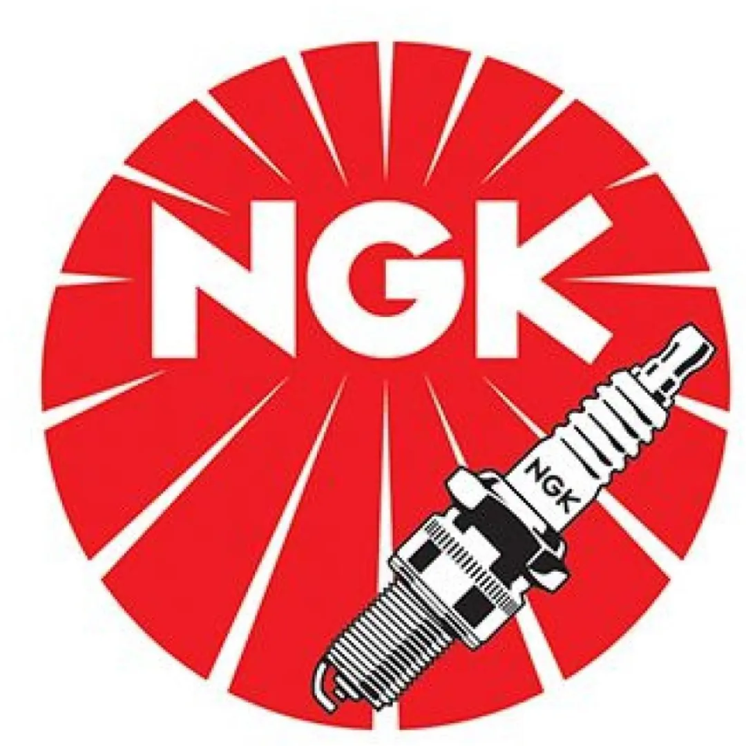 NGK CM-6 Bougie - Zilver