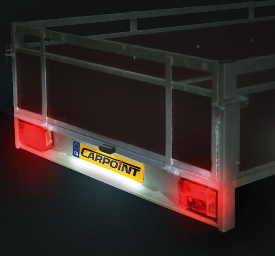 Carpoint Kentekenverlichting 12x5cm LED 10-30V