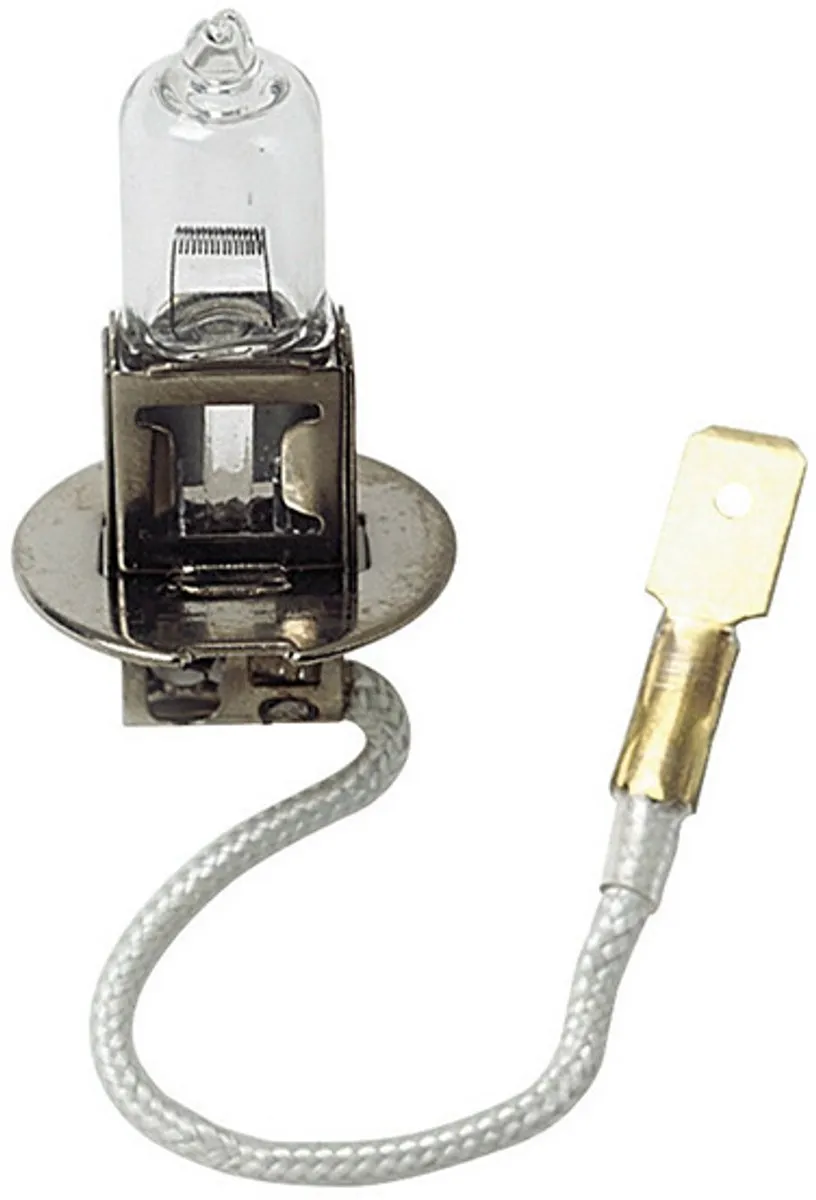 Lampa Halogeenlamp H3 12V 100W PK22s