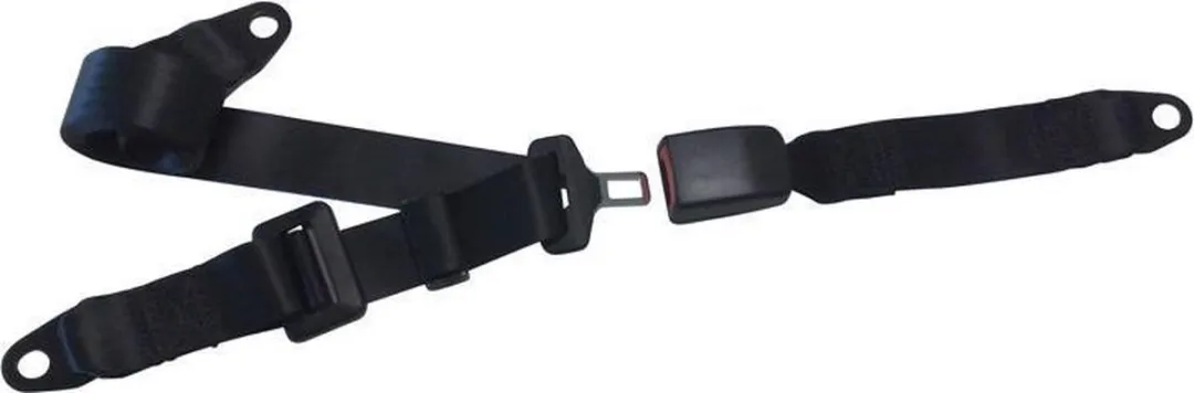 Carpoint 3-punts Gordel 25/230cm - Zwart