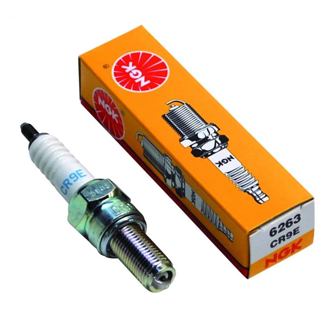NGK CR9E Bougie - Zilver
