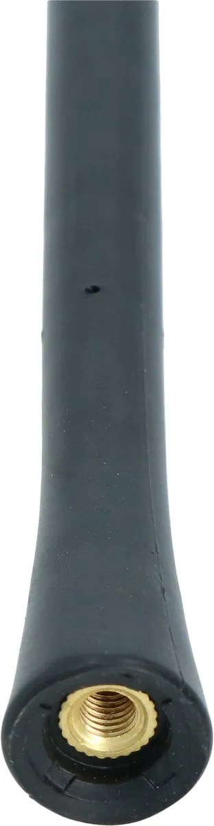 Carpoint Vervangingsmast Antenne V16 - 41cm - Zwart