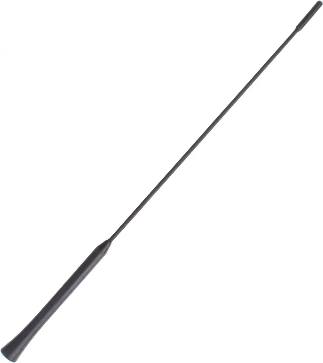 Carpoint Vervangingsmast Antenne V16 - 41cm - Zwart