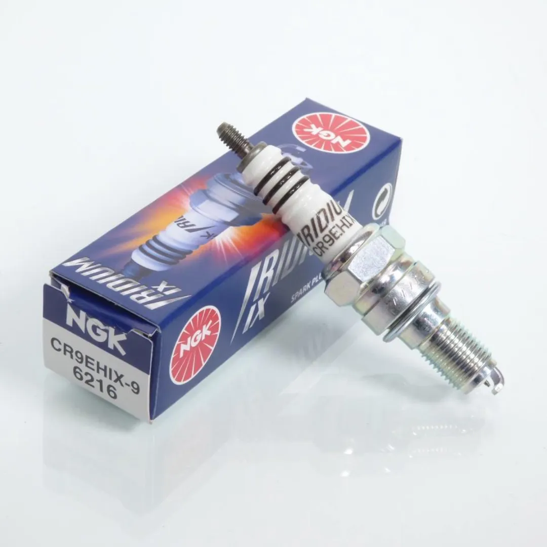 NGK Bougie voor Honda 600 CBF Hornet 2002