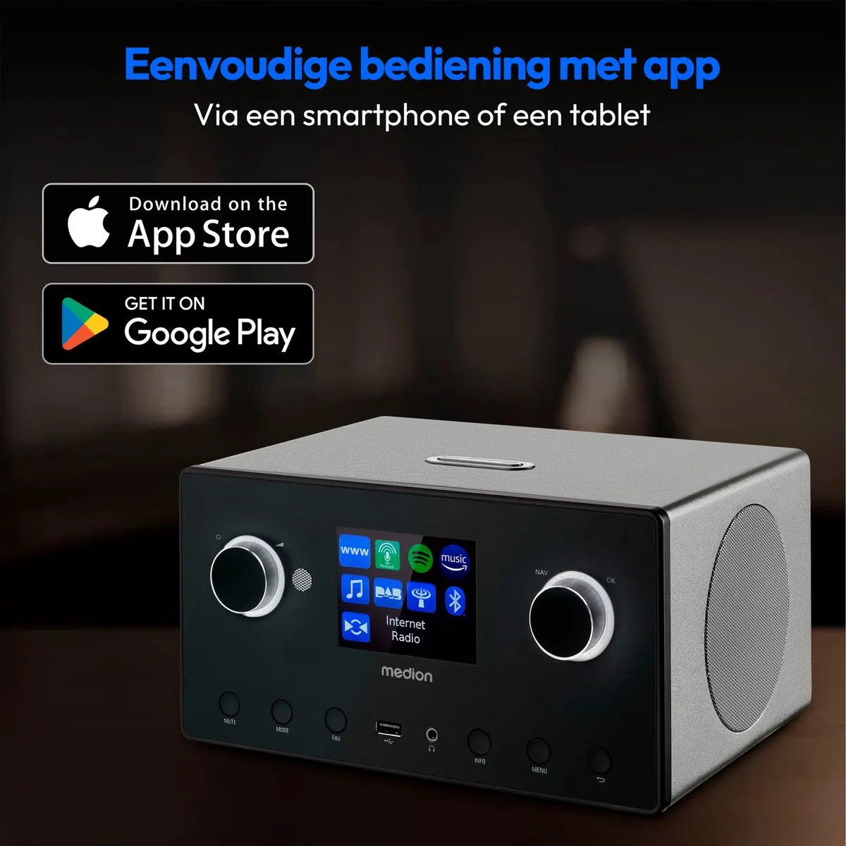 Medion MD89295 Internetradio 2.1 - 30W - Zwart