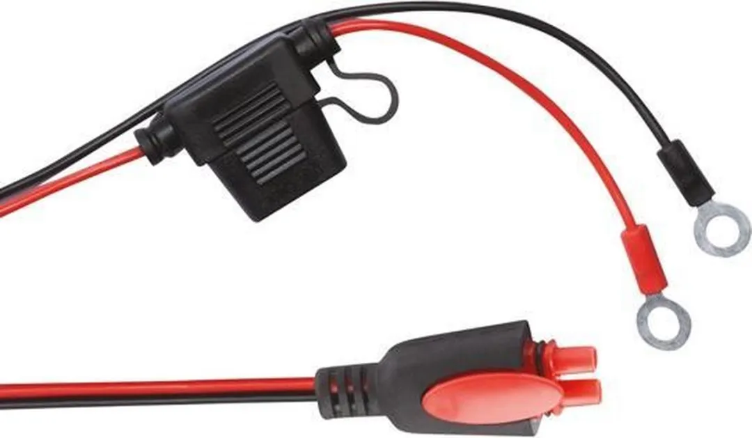 Carpoint Intelligente Acculader 6V/12V 3,8A - Zwart