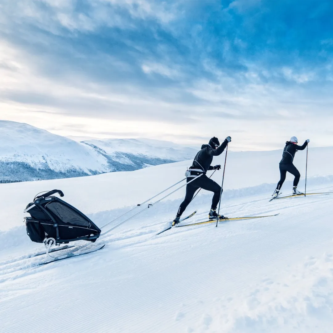 Thule Chariot Ski Kit 2017 - Grijs - afbeelding 3 van 5