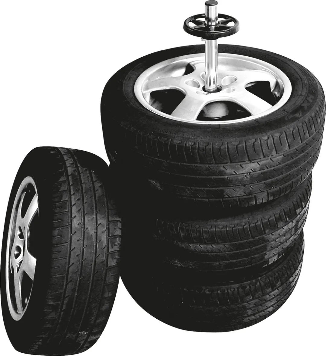 Carpoint Wielstandaard met Hoes - Aluminium Zwart