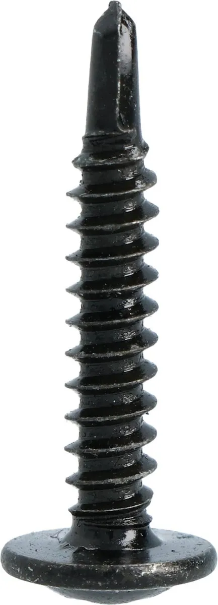 Carpoint Zwart 25mm Zelftappende Schroeven - 100 Stuks
