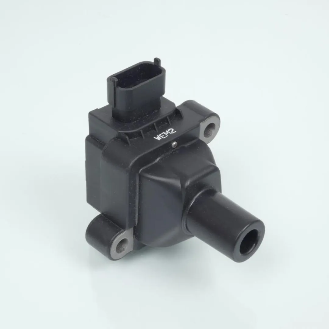 bobine ht 12v beru voor motorfiets bmw 650 f gs 1999-2003 zs030 12132346570