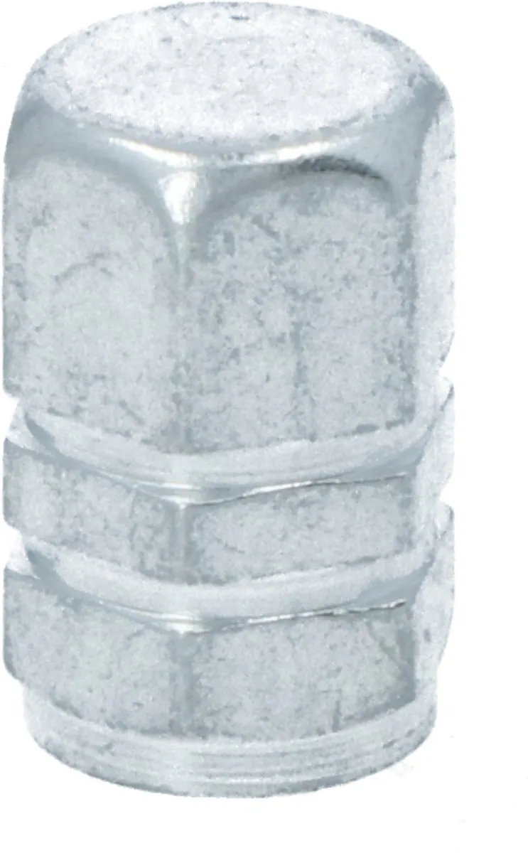 Carpoint Ventieldopjes 5 Stuks - Zilver