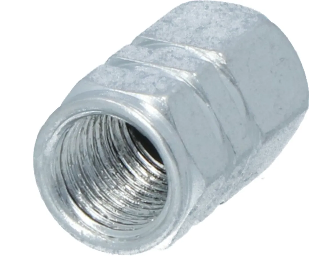 Carpoint Ventieldopjes 5 Stuks - Zilver
