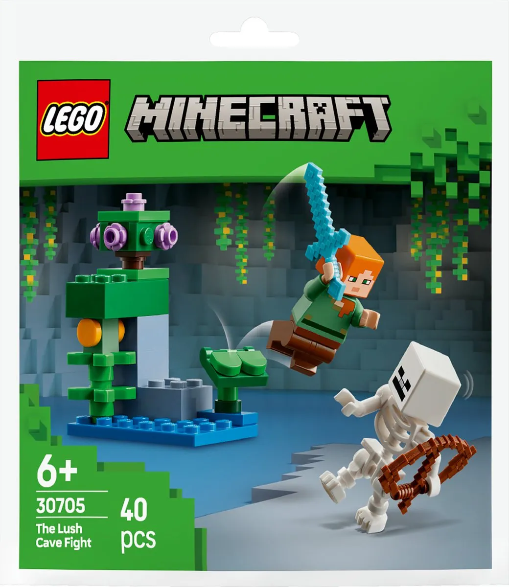 LEGO Minecraft Duel bij de Weelderige Grot 40 Stukken