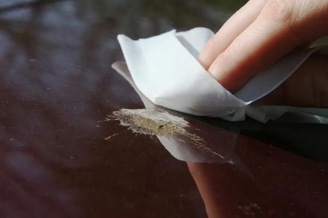 Autoglym Bird Dropping Wipes - 10 Stuks