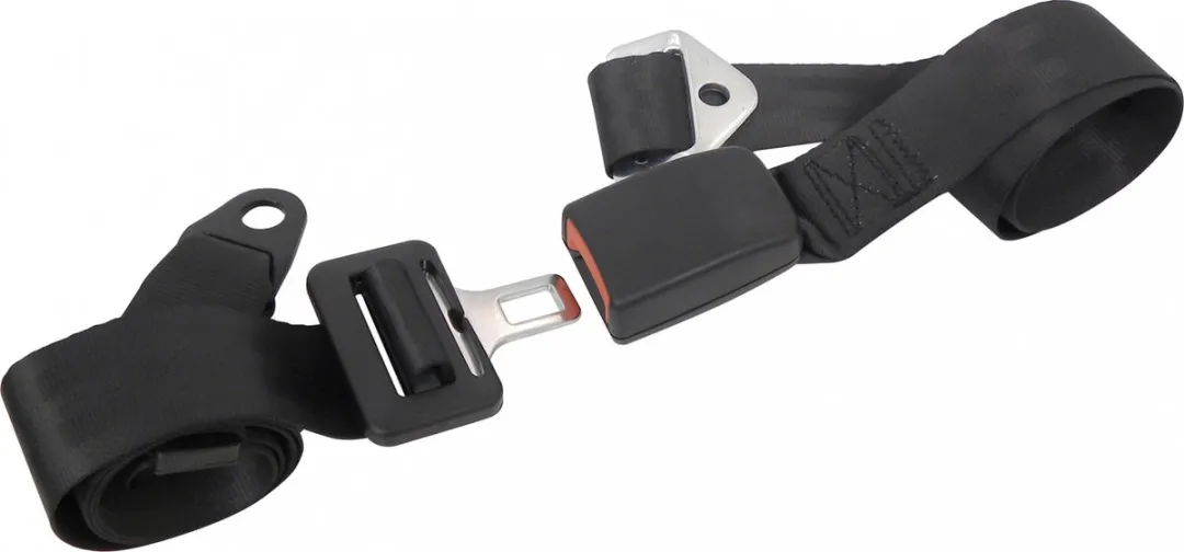 Carpoint 2-punts Gordel 190cm