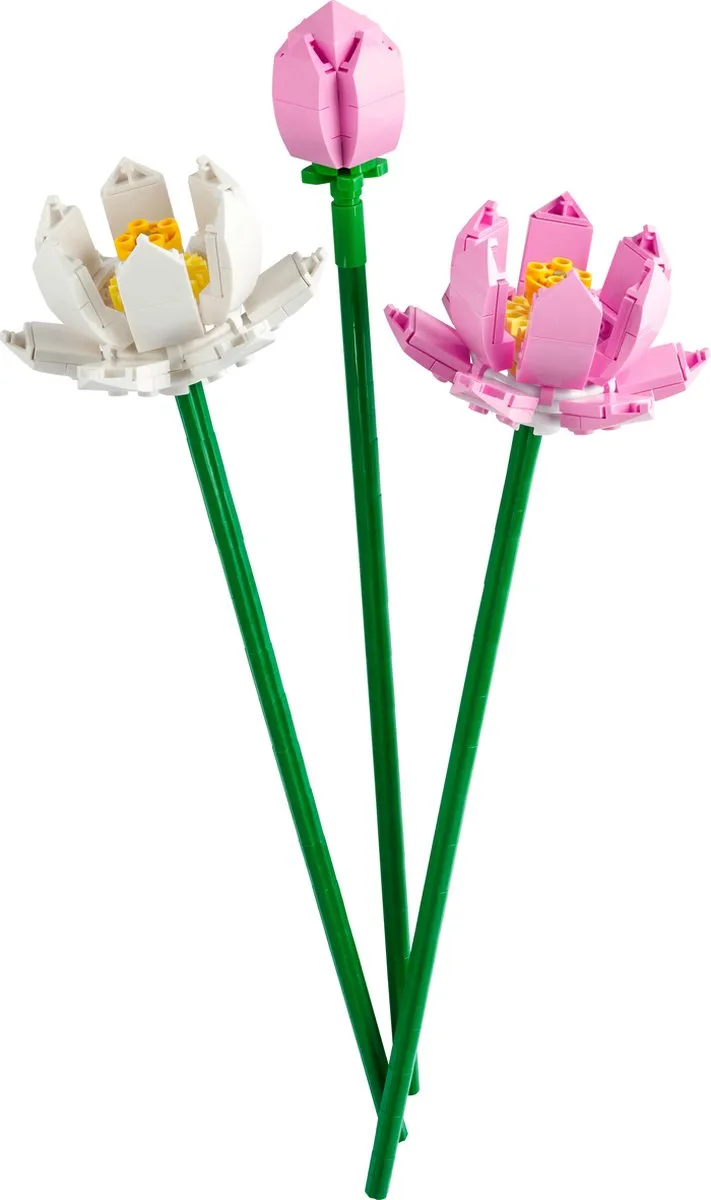 LEGO Iconic Lotusbloemen 40647 - 220 Stukken - Meerkleurig